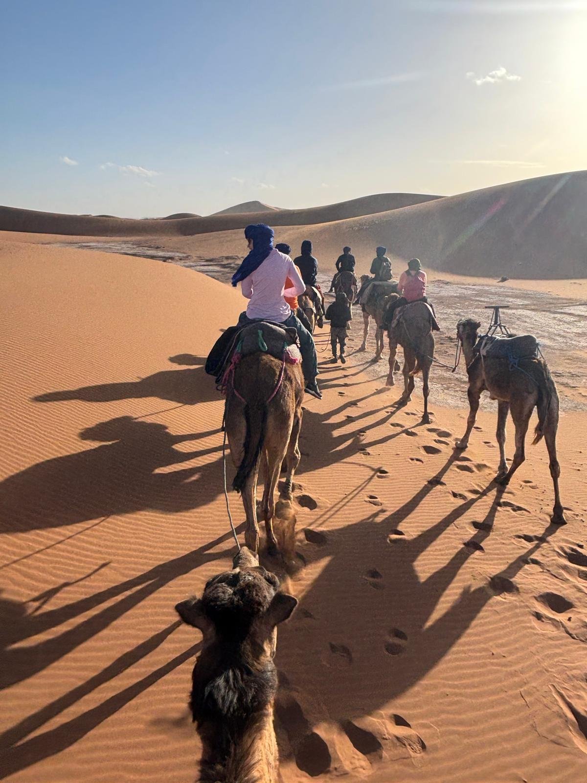 Erg Chebbi Luxury Camps - Morocco