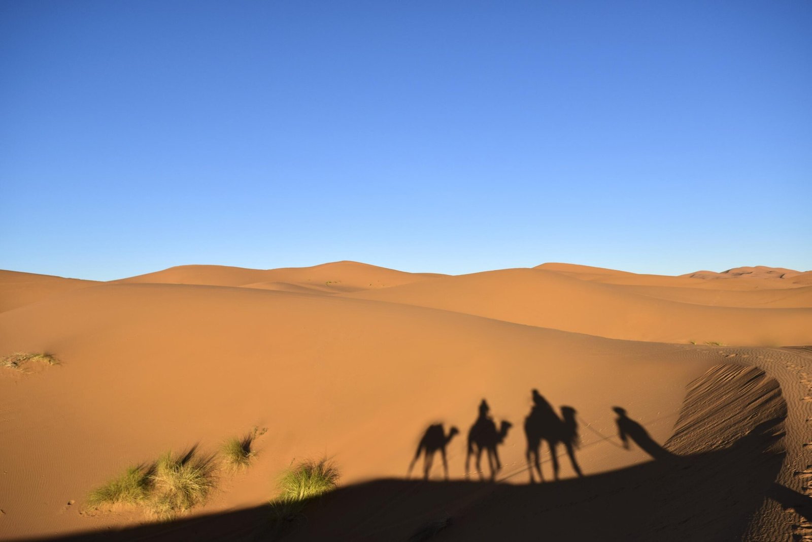 2-Day Desert Trek Mhamid
