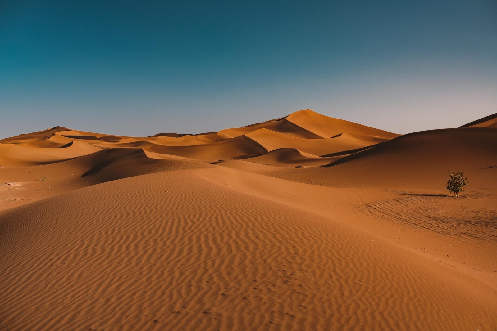Day Trips from Ouarzazate
