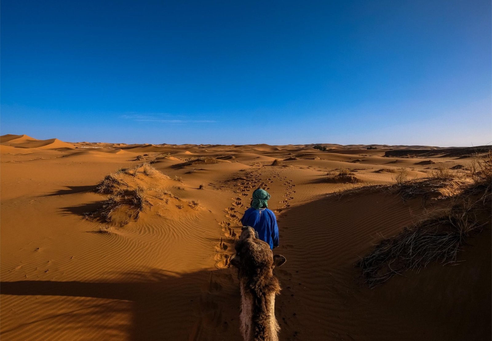 4-Day Desert Trek Mhamid