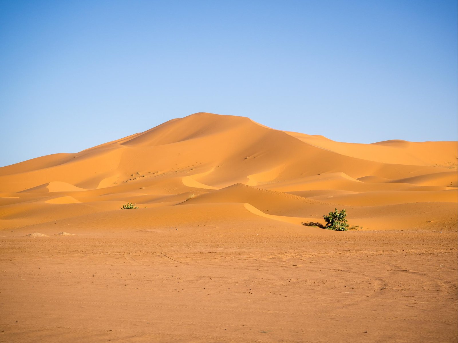 Sahara Tours Morocco