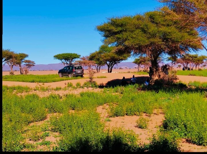Travel Agency Morocco